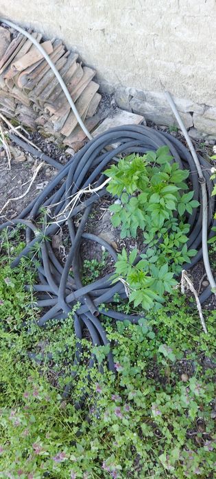Стари маркучи за поливане