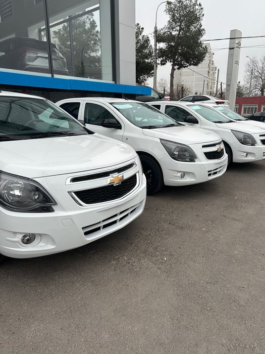 Cobalt Midnight MCM 2026.