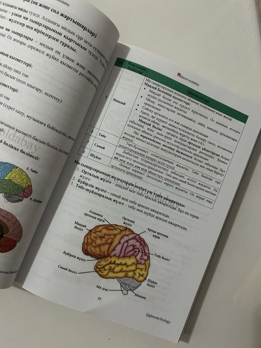 Биология Glucose ұбт