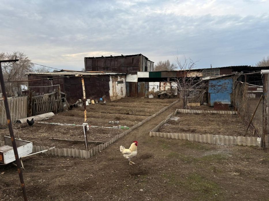 Продается особняк