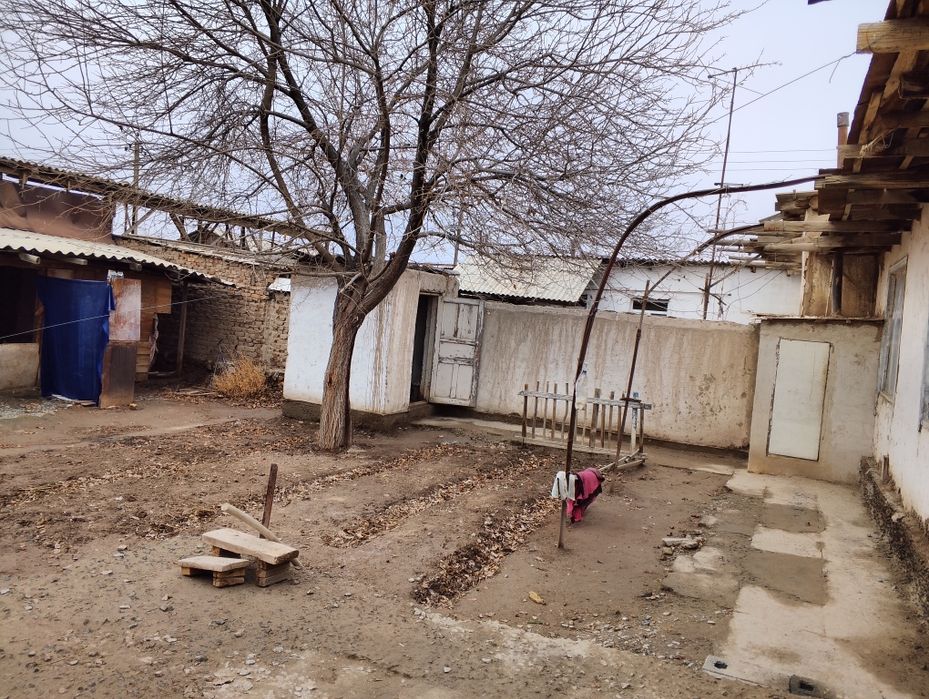 Хожелинин ишинде ЖерЖай сатылады