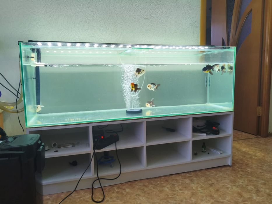 Продаётся аквариум