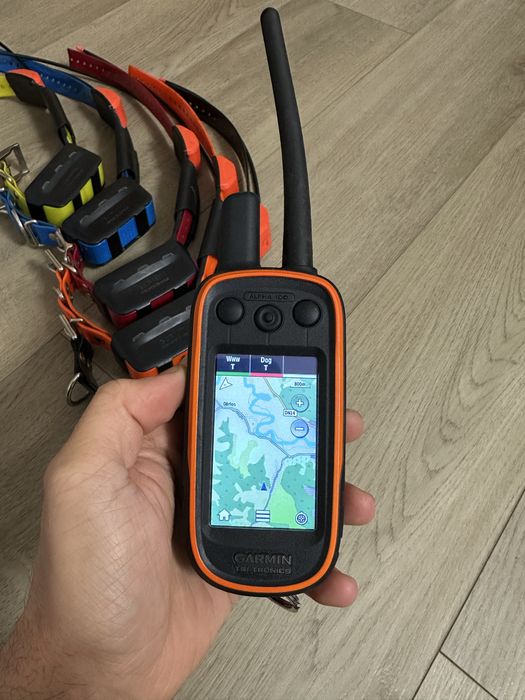 Garmin alpha 100