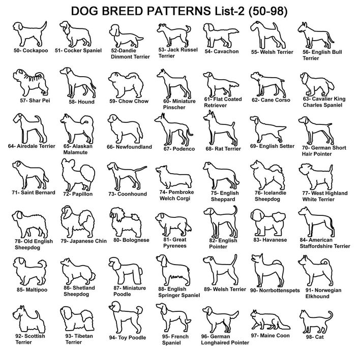 Сребърно колие с име на куче, подарък за собственик на куче