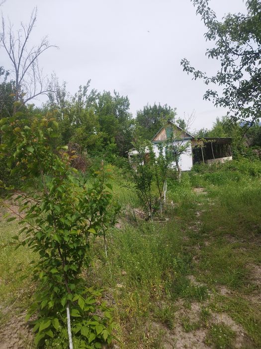 Продам  дачу в гораде текели .