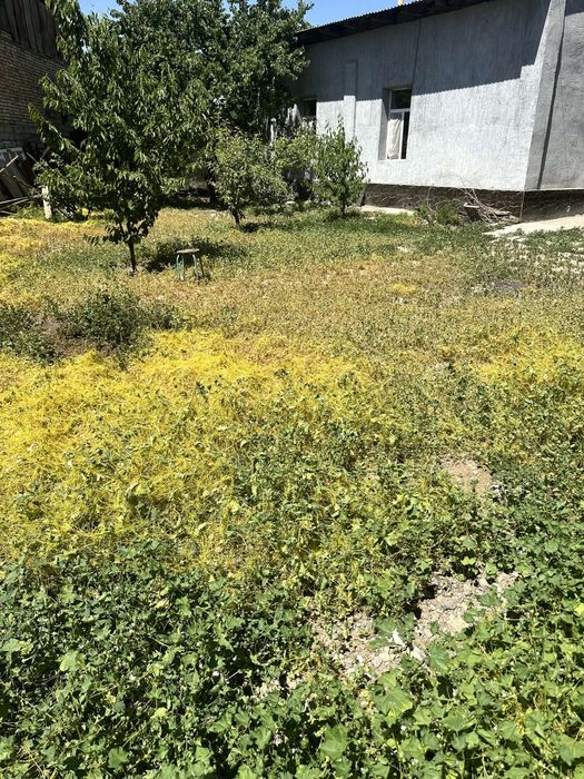 Срочно продаю дом собственник Азербайджанский центр