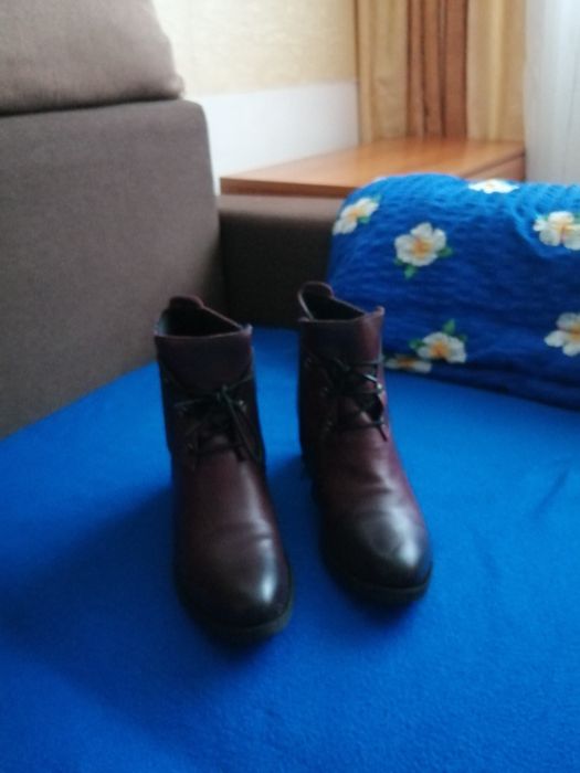 Botine vișinii (degrade)