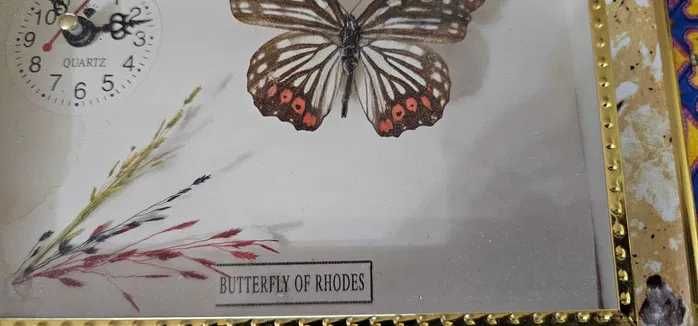 ceas tablou  cu fluture adevarat