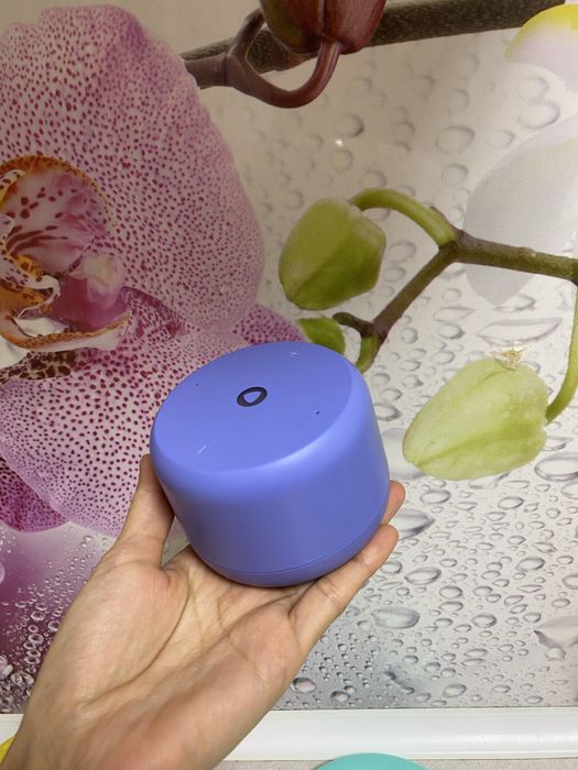 Алиса Срочно Дешево