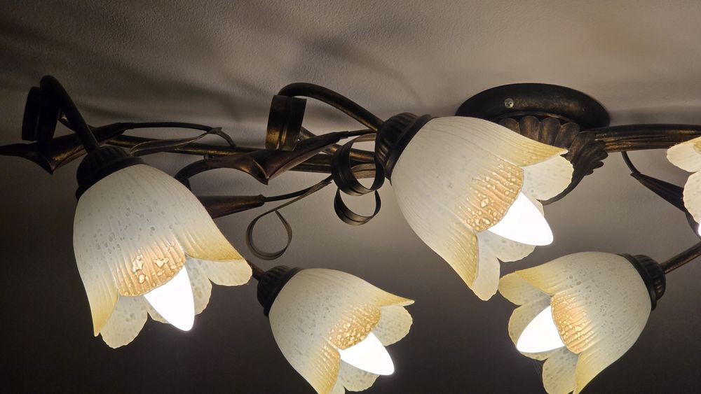 Осветителни тела с влючени LED крушки Philips