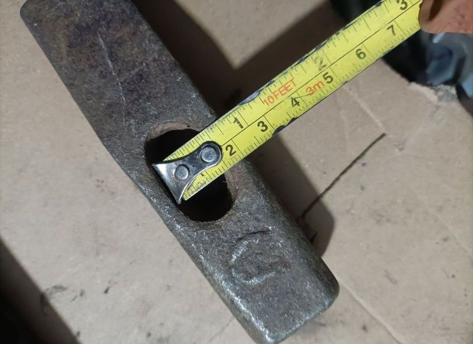 Cap ciocan fără coadă, bluza