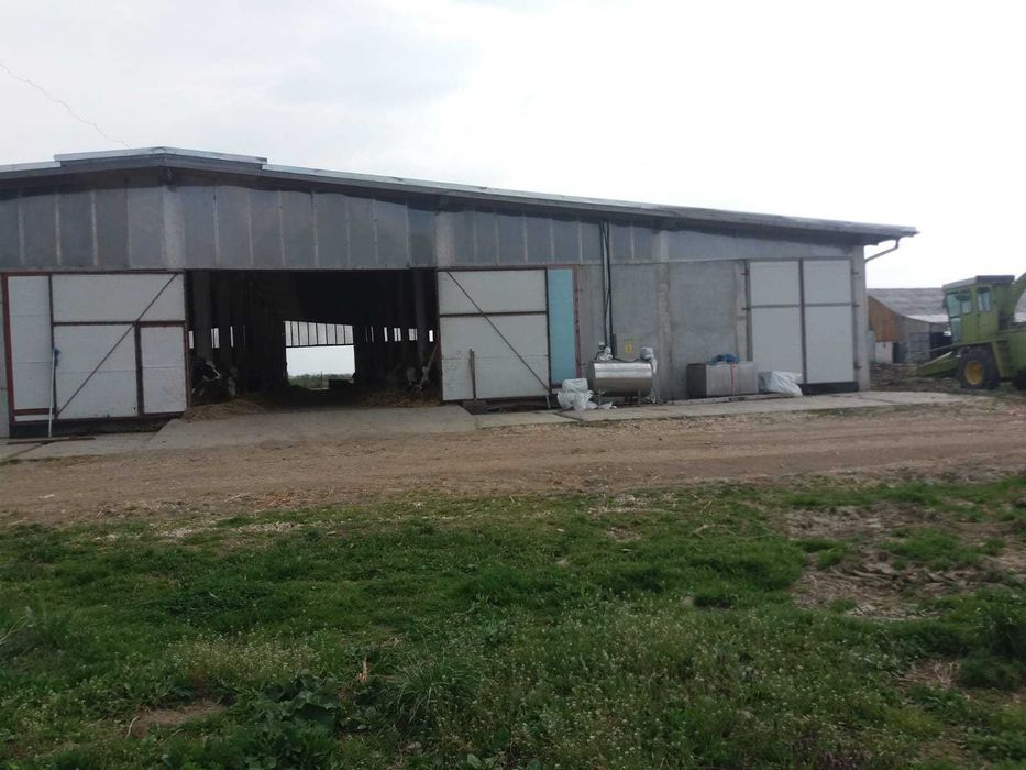 De vanzare FERMA de vaci cu anexe si utilaje CU 2 case de 1051 mp