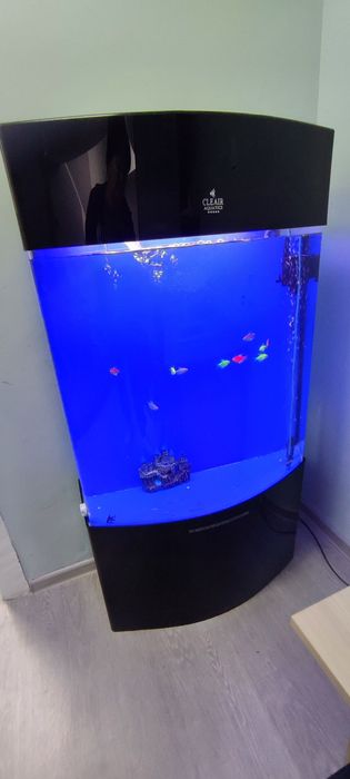 Аквариум с рыбками