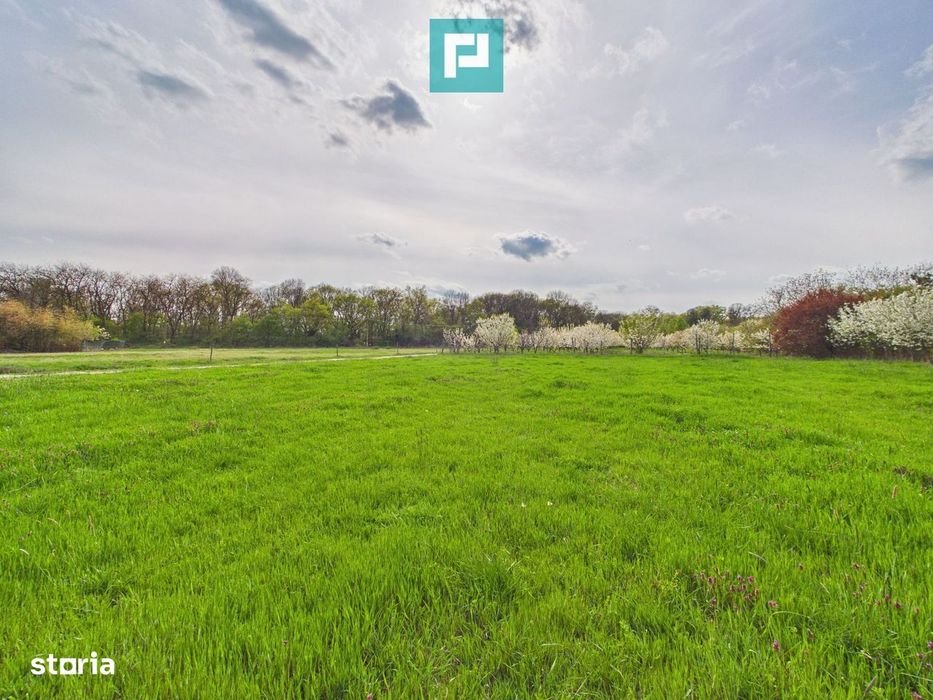 Teren intravilan, 820 mp, Pădure Giroc