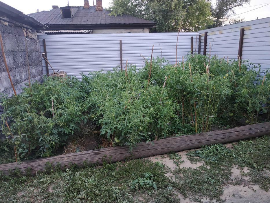 Продам участок с домом в центре