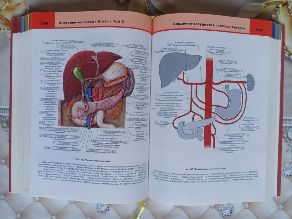 Atlas anatomiya sotiladi