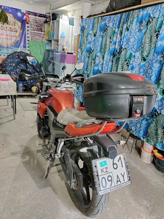 Рейсер Файтер 250 куб