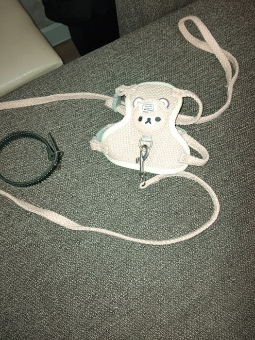 Одежда для маленькой собачки