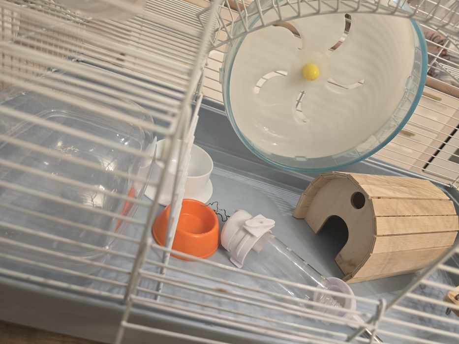 Клетка для хомяка (сирийского)