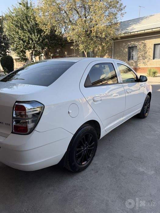 Cobalt midnayt gazi bor