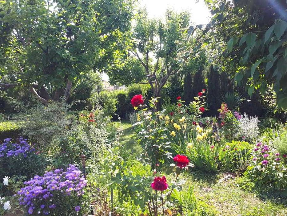 Луксозна къща, оригинална архитектура, строеж 2000 г, напълно обзаведена, 290 кв. м. канализация, асфалтов път