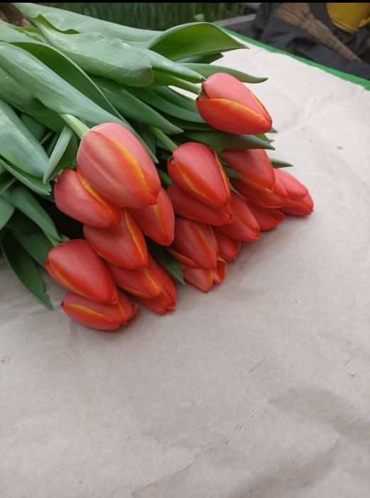 Оптом и в розницу от 360