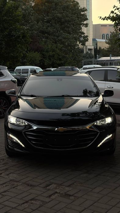 Malibu primyer 2