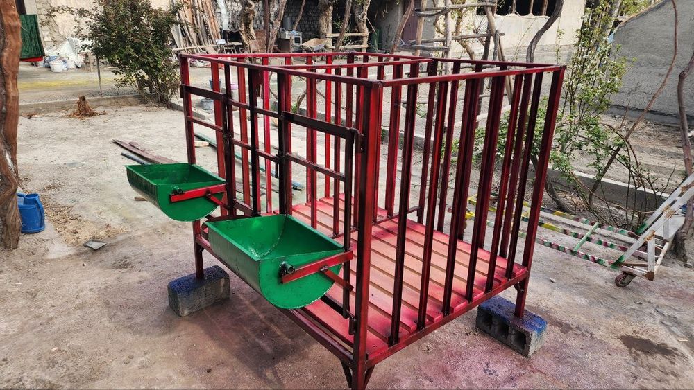 Qo'y qora | Qo'y Katak