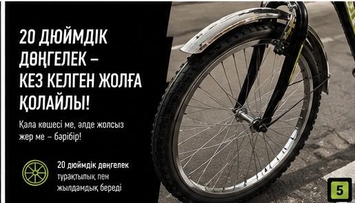 түркістан,велик аист