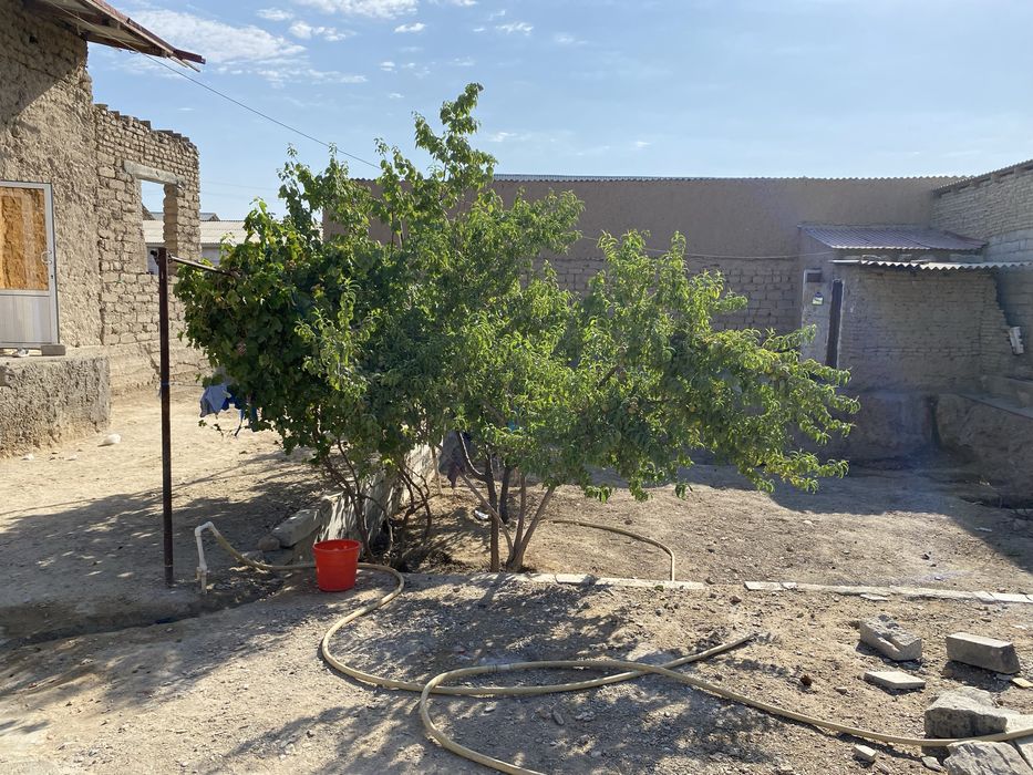 manzil farhod saphuz