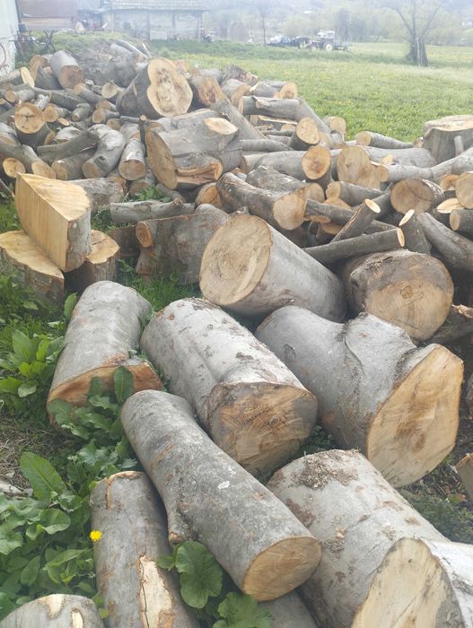 Lemne de foc Maramures