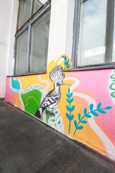 Pictura pe Pereti interior/exterior