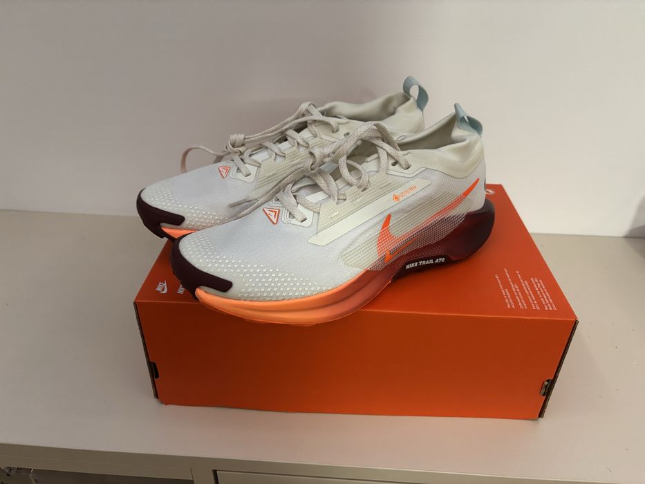 Nike Pegasus Trail 5 GTX