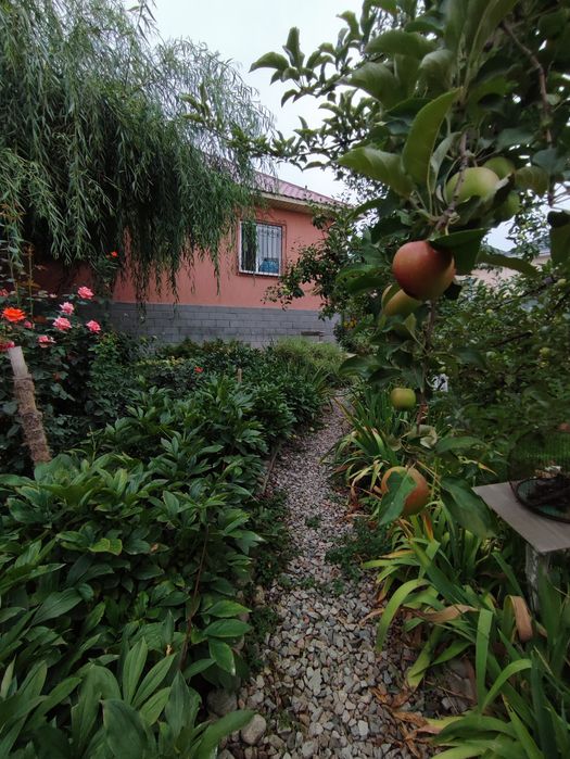 Продам Дом  из красного кирпича