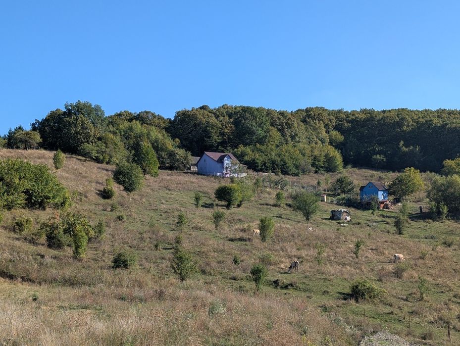 Teren de vânzare Bistrița , str. Dambului