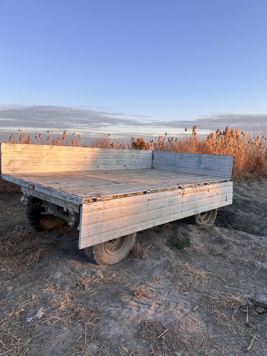 Tilishka zor xolatda