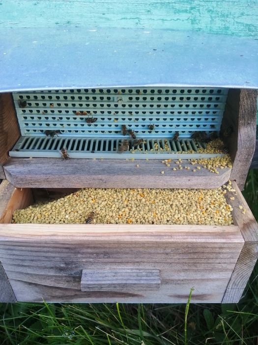 Vanzare polen poliflor si paducel