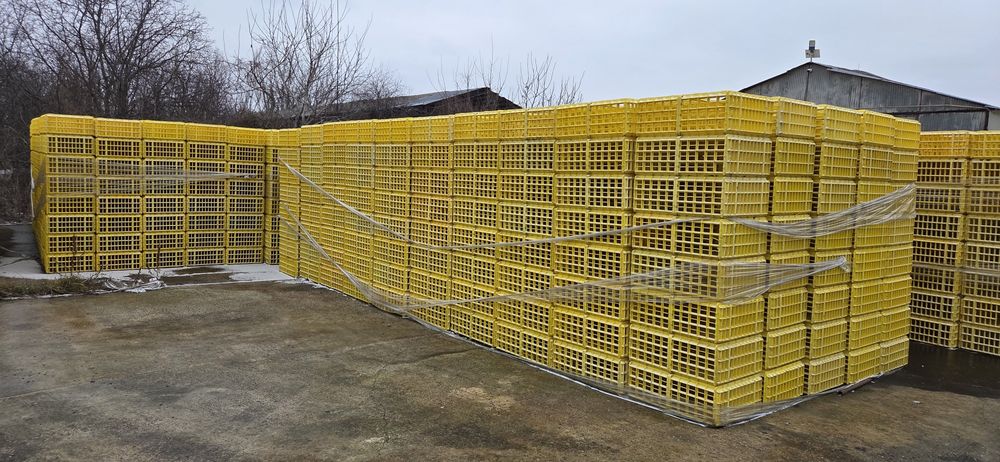 Cusca transport păsări, gaini ,pui.