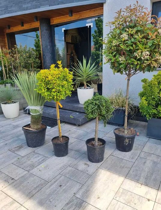 Piatră cubică premium | Modele unice, montaj asigurat