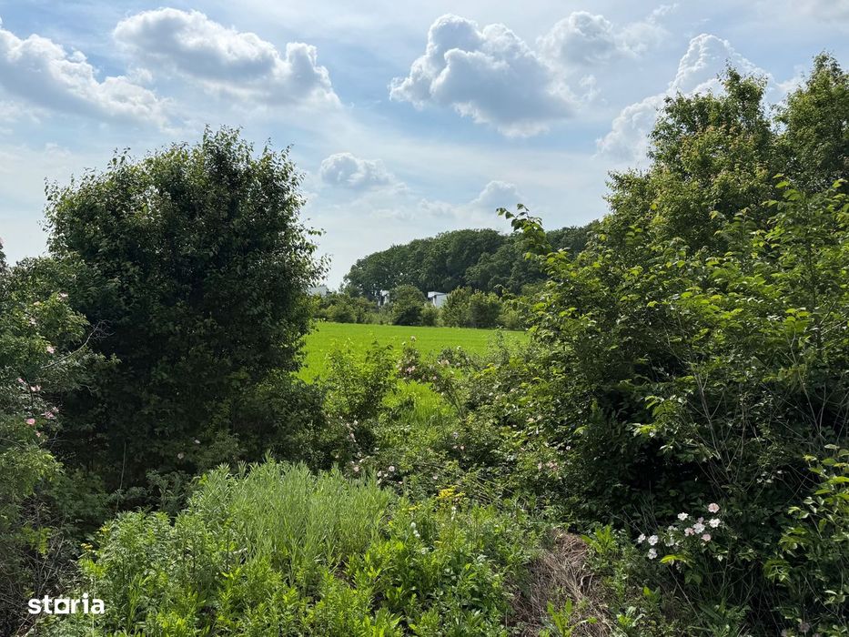 Teren intravilan 498,02 mp langa pădure , strada privata Corbeanca