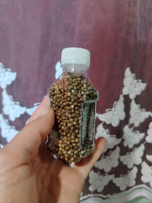 Semințe de coriandru