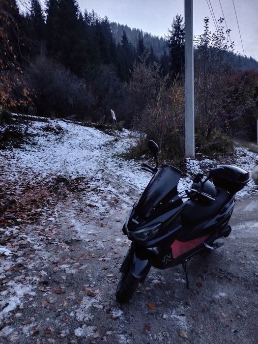 Мапед Maxi VILIMIN