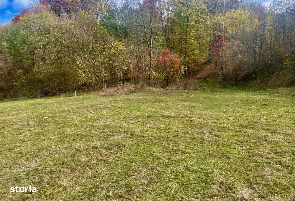 Teren larg 2 ha, la padure, panoramic dealuri si rau, cu curent, DJ