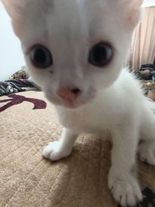 Девочка ищет свою семью