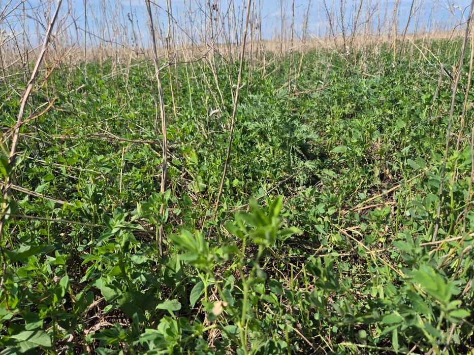 25 гектар жер сатылады