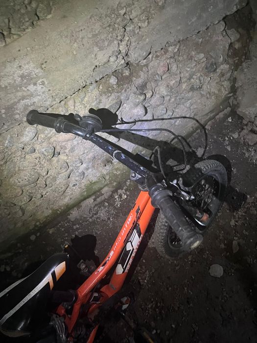 Детское велосипед Giant Animator.