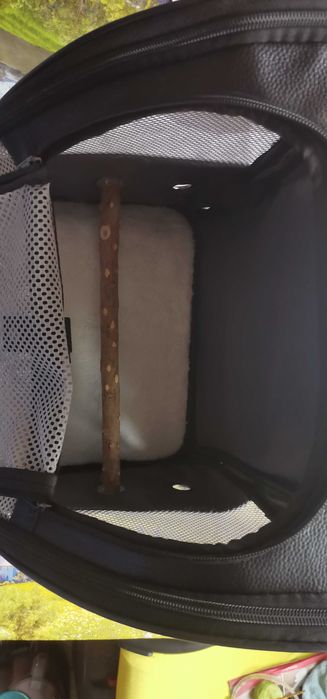 Раничка за папагал