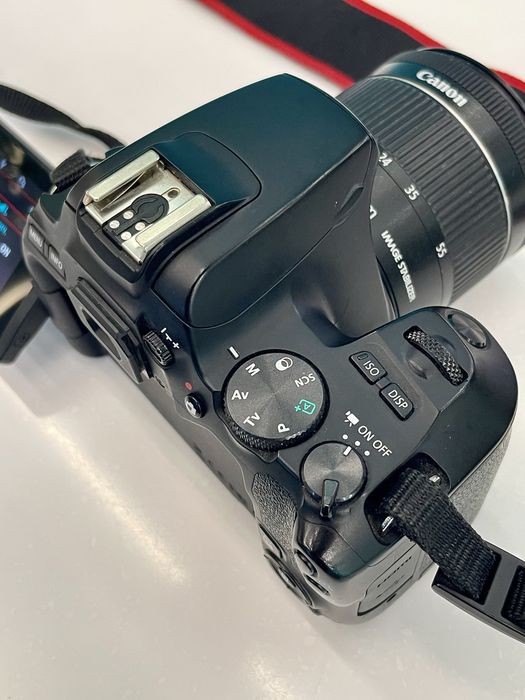 Камера Canon 250D