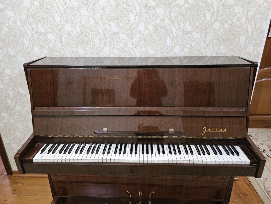 Пианино Элегия .