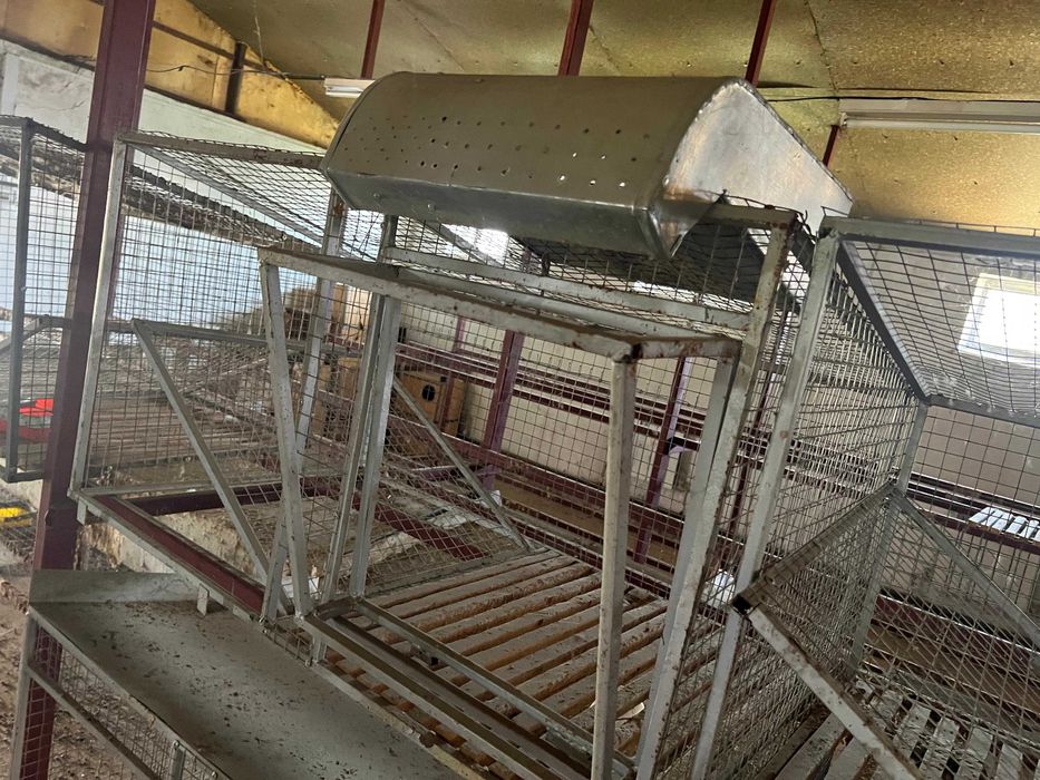клетки для кроликов